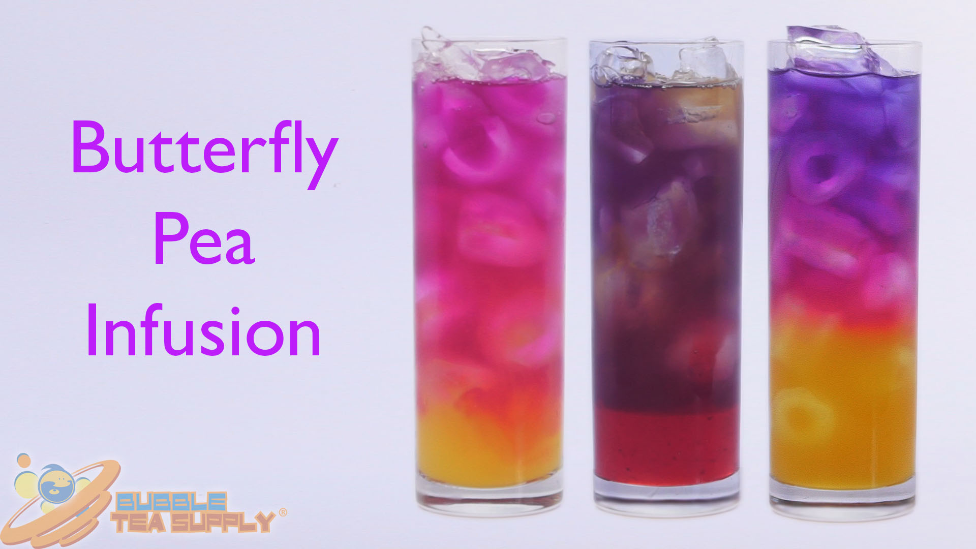 How to Make Butterfly Pea Infusion Base for Butterfly Pea Drinks